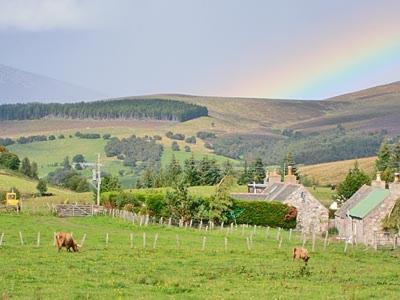 Honey Cottage Auchnarrow Exterior photo